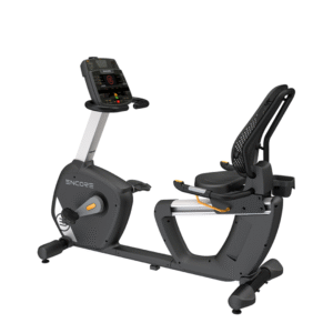 ECR7 - Bicicleta Reclinada