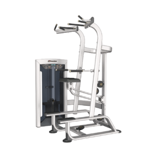 FE9720 - WEIGHT ADDIDTED CHIN/DIP COMBO