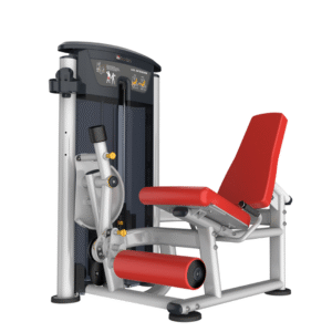 IT9505 - LEG EXTENSION