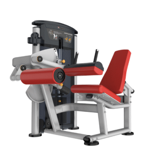 IT9506 - SEATED LEG CURL