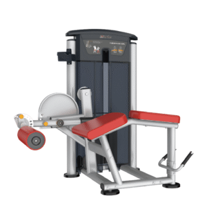 IT9521 - PRONELEG CURL