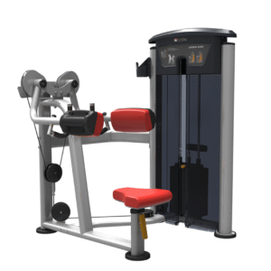 IT9524 - LATERAL RAISE