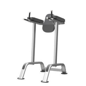 IT7010 - VERTICAL KNEE RAISE