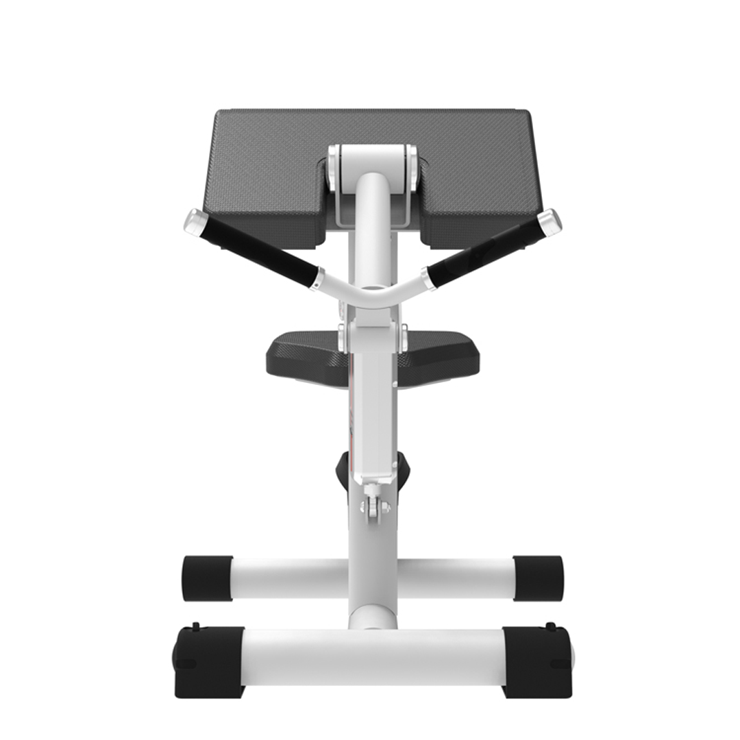 RL8103 - BICEPS CURL/TRCEPS EXTENSION - Imagen 3
